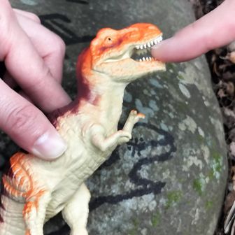 ティラノの口の中😆