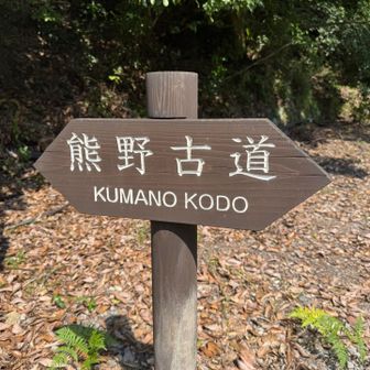 みんなで歩く熊野も味わい深い