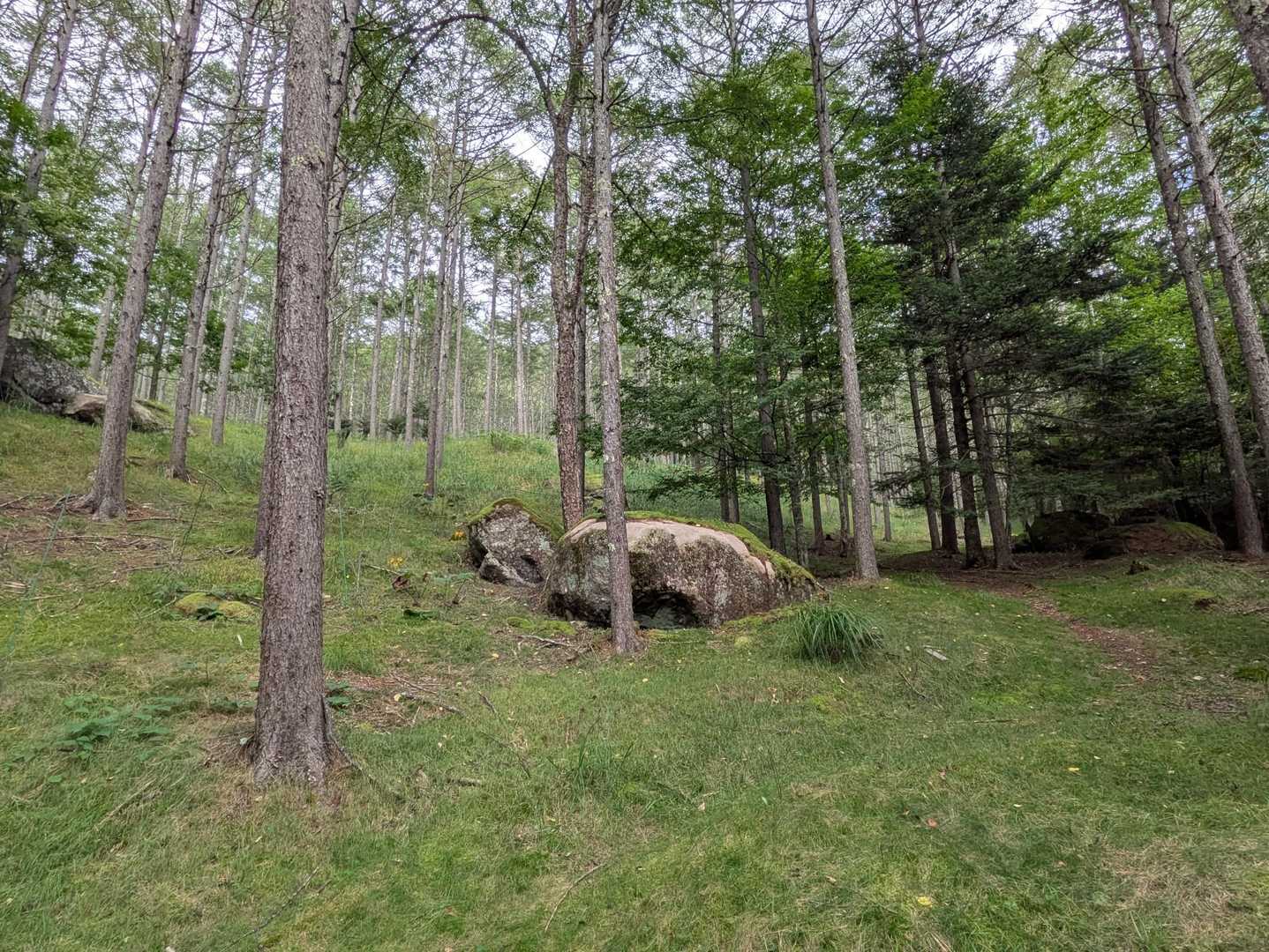 みずがき山自然公園-不動滝-瑞牆山-富士見平小屋 周回コースの写真