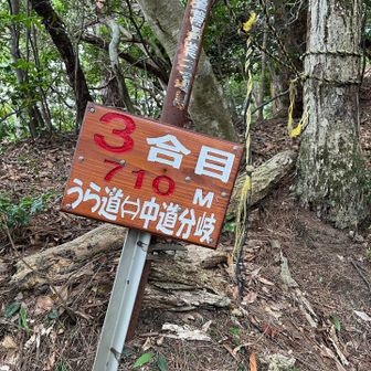 今度は裏道に行くかもね