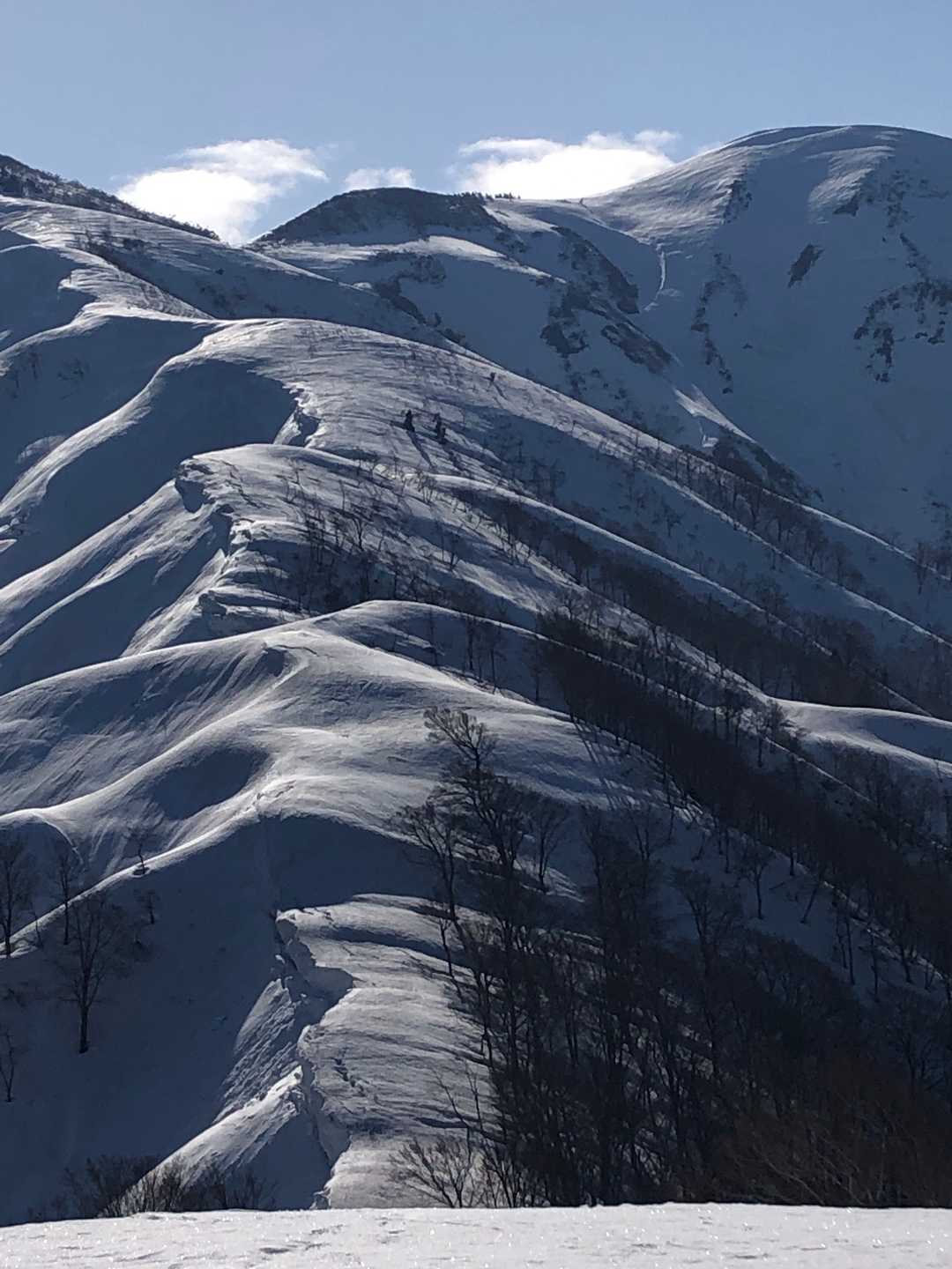 三ツ倉山の写真