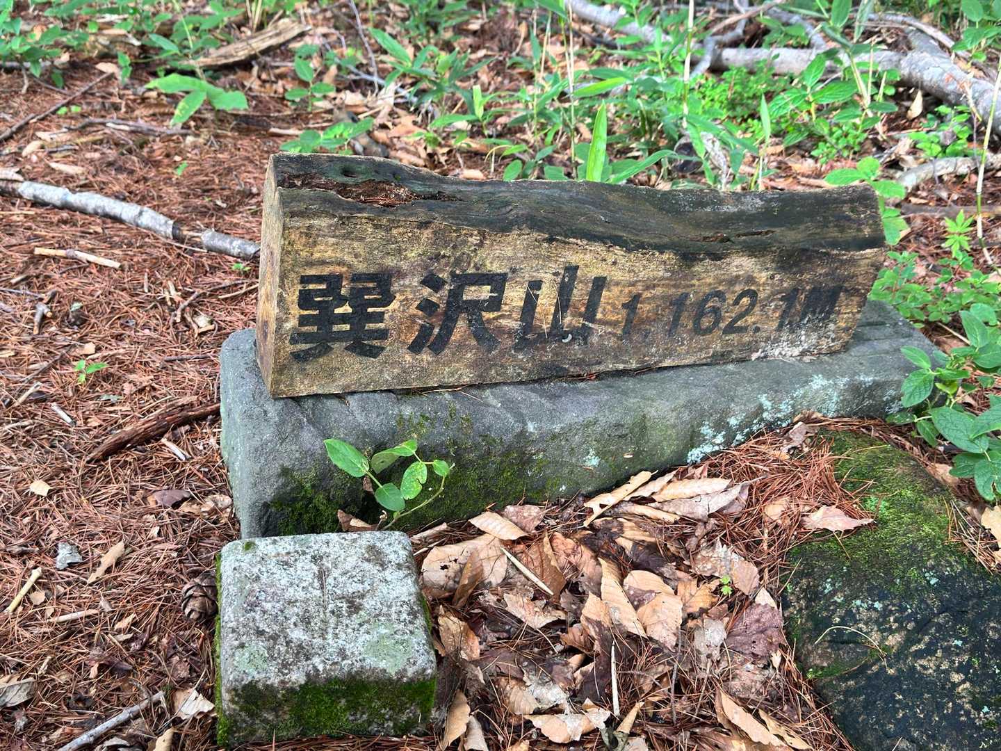 ようやく最後のピーク🙌
ただただ長いだけで
道はとても歩きやすかった😊
急なところは
トラロープあるので
安心して降りられます🙆‍♀️