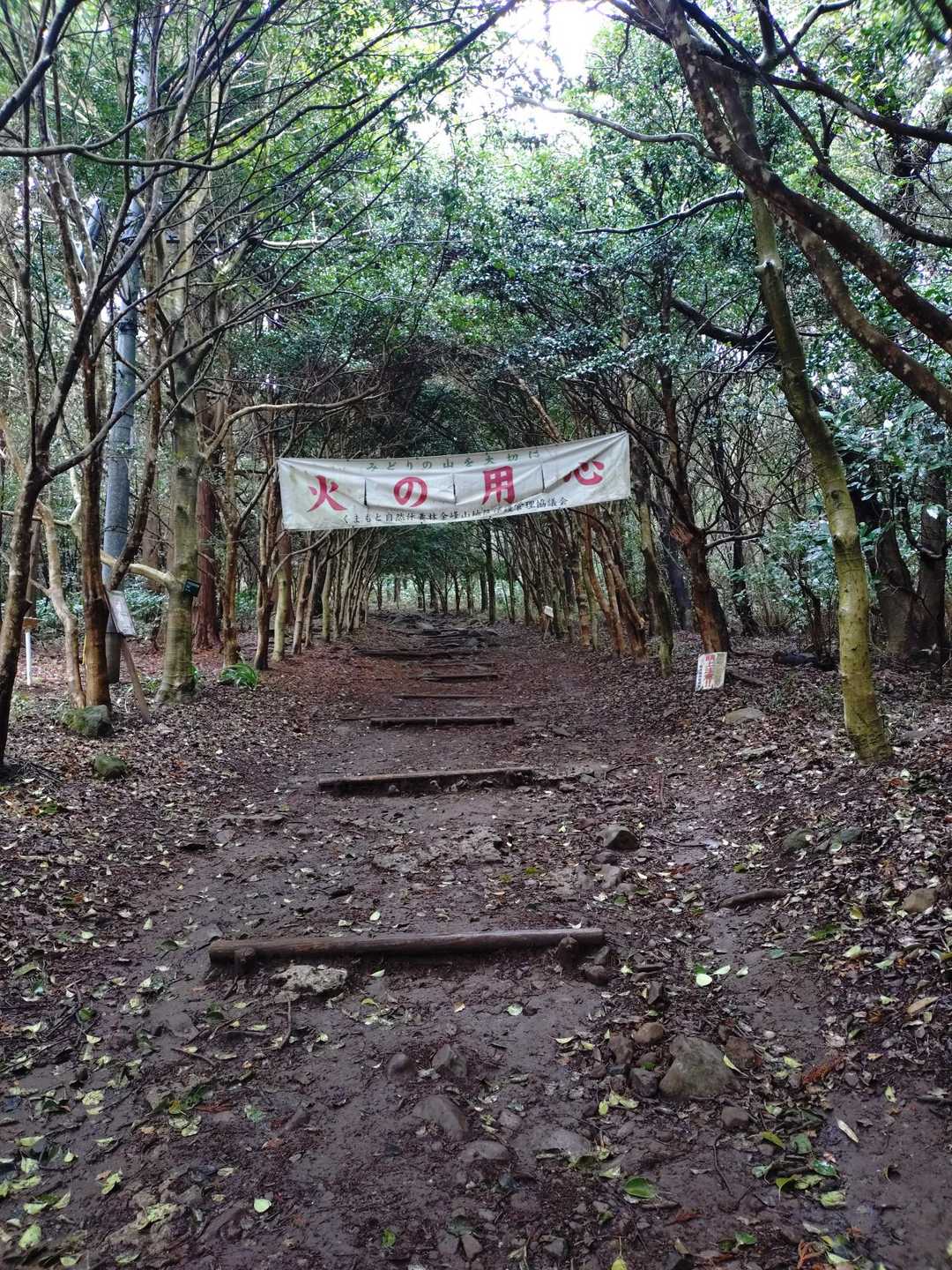 雨は降ってませんが
風が強いのだ