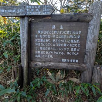 ③🚩鉢山2041mに登頂です🙌ヽ(=´▽`=)ﾉ
相棒もお疲れ様💕❤眺望無し
しかしここに来る登りがけっこうしんどかった〜😵💦
このまま下山できるけど、あと２P行くので四十八池湿原の分岐まで戻ります😂