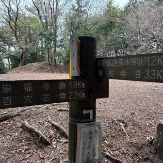 崇福寺跡方面の予定なのに…
ひとまず左折することにした⬅️