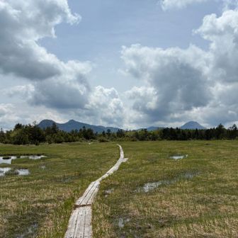 さ、樹林帯へ🚶‍♂️‍➡️