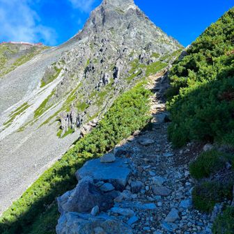 東鎌尾根から見た槍ヶ岳