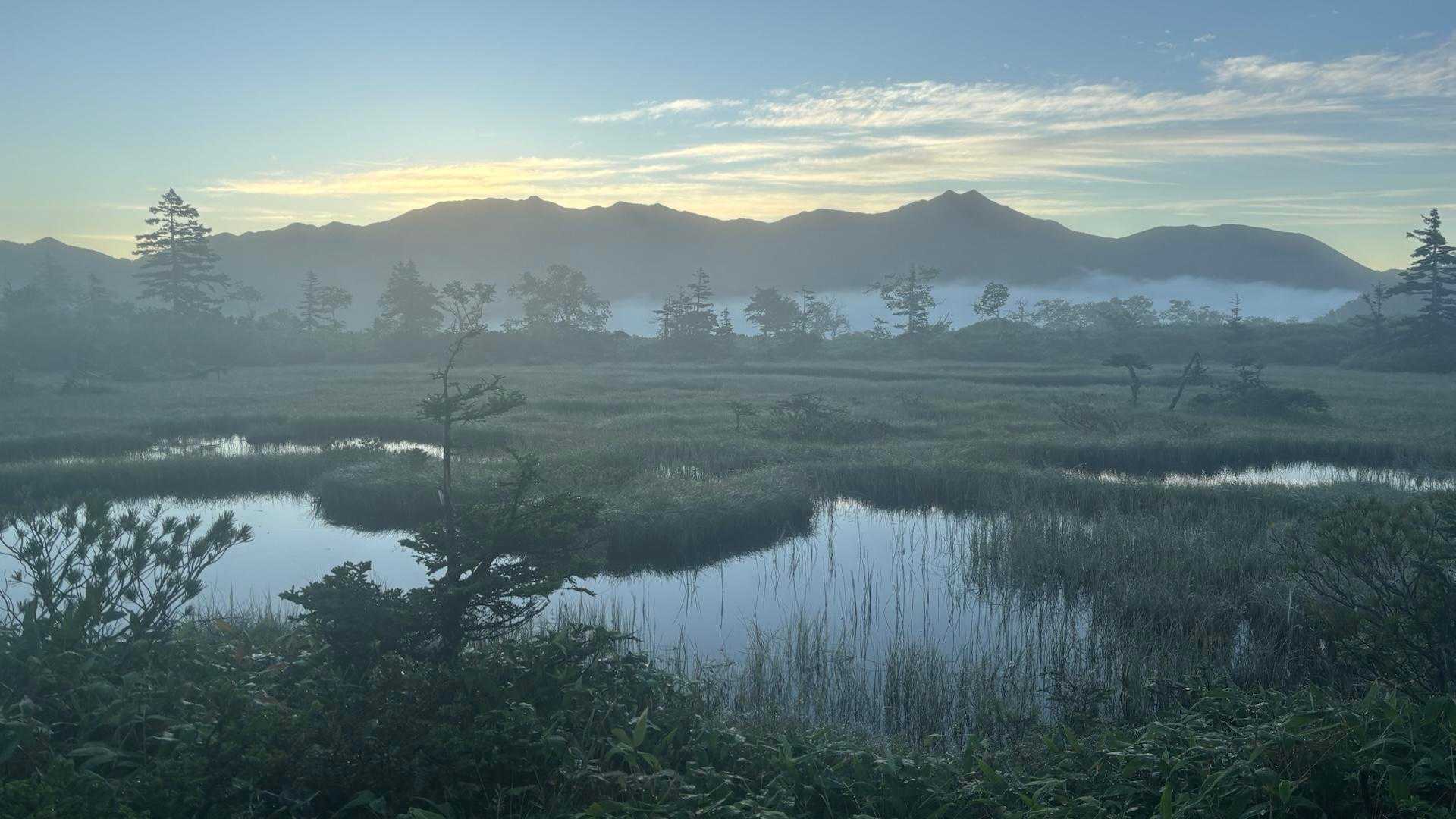 YMO思い出の“ニペ耳”を眺めながら✨
