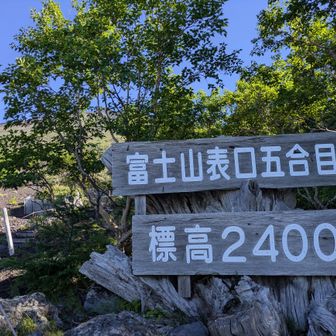 予定より2時間遅れスタート🚶‍♀️
お鉢周りどころか
山頂も辿りつけるのか😶