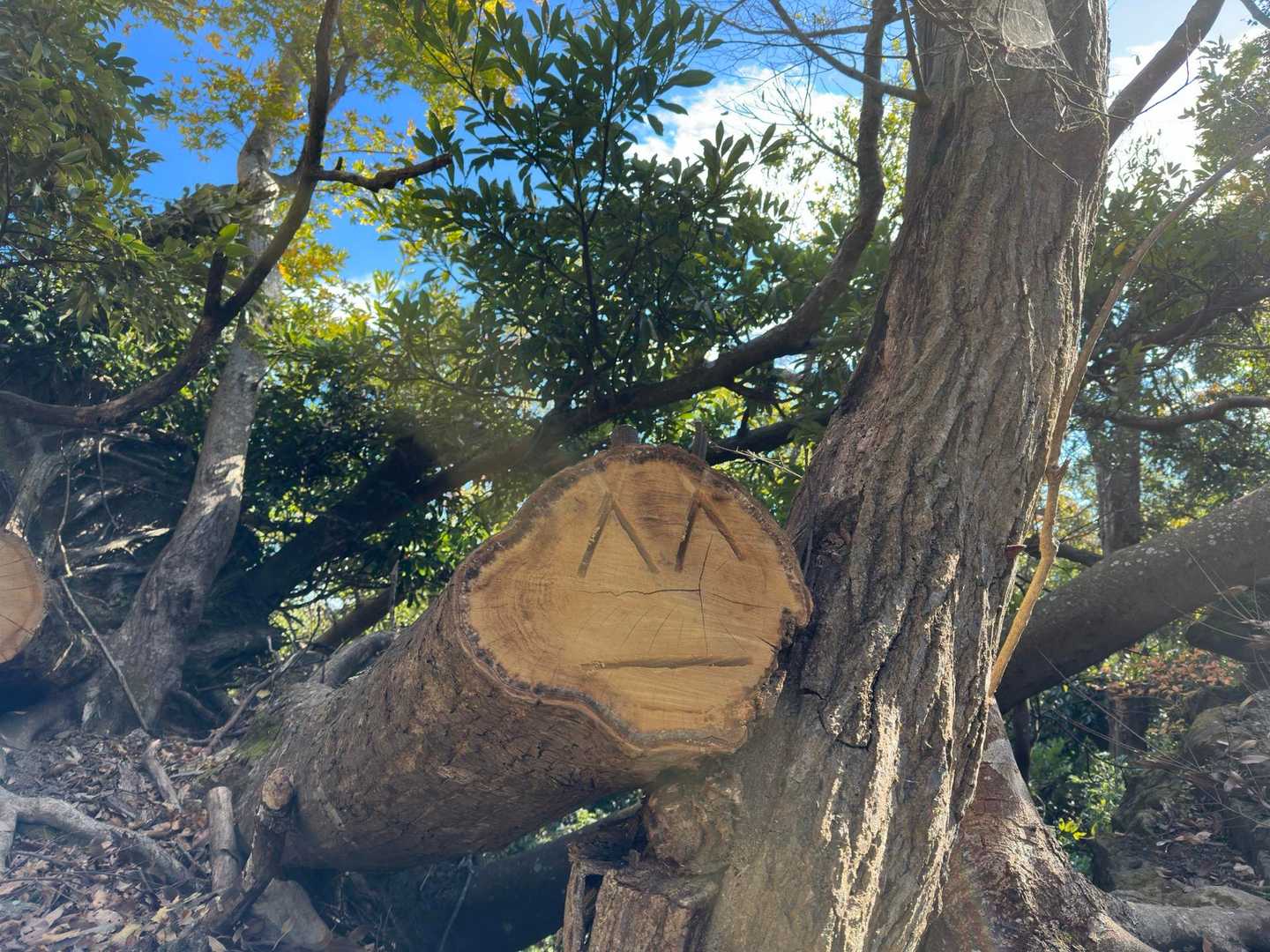ここでまた☕️タイム