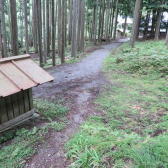 サクッと下山。