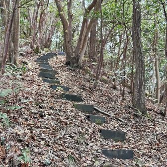 山頂手前にだけプラ階段が設置されています
今更必要ない気もするが…