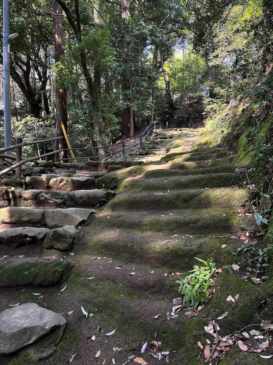 苔むしていい感じ