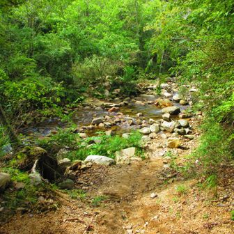 この先左手森林植物園東門