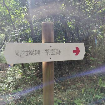 この分岐から戻ります。
この辺りから陽が差し青空に。