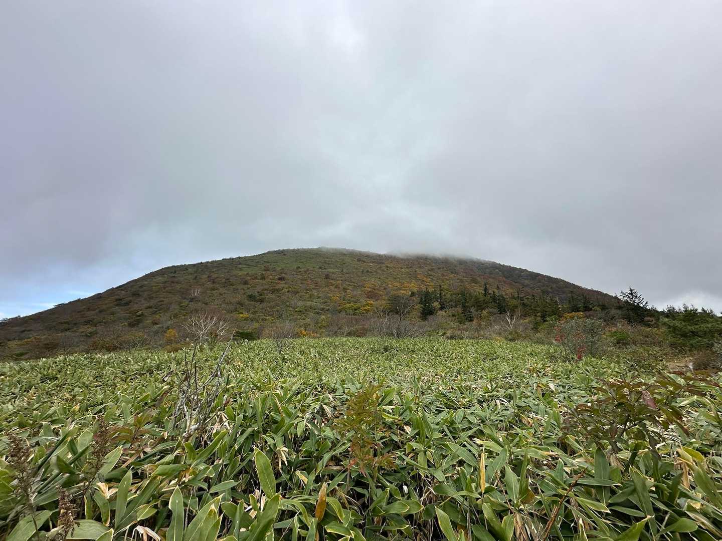振り返って🙄大関山