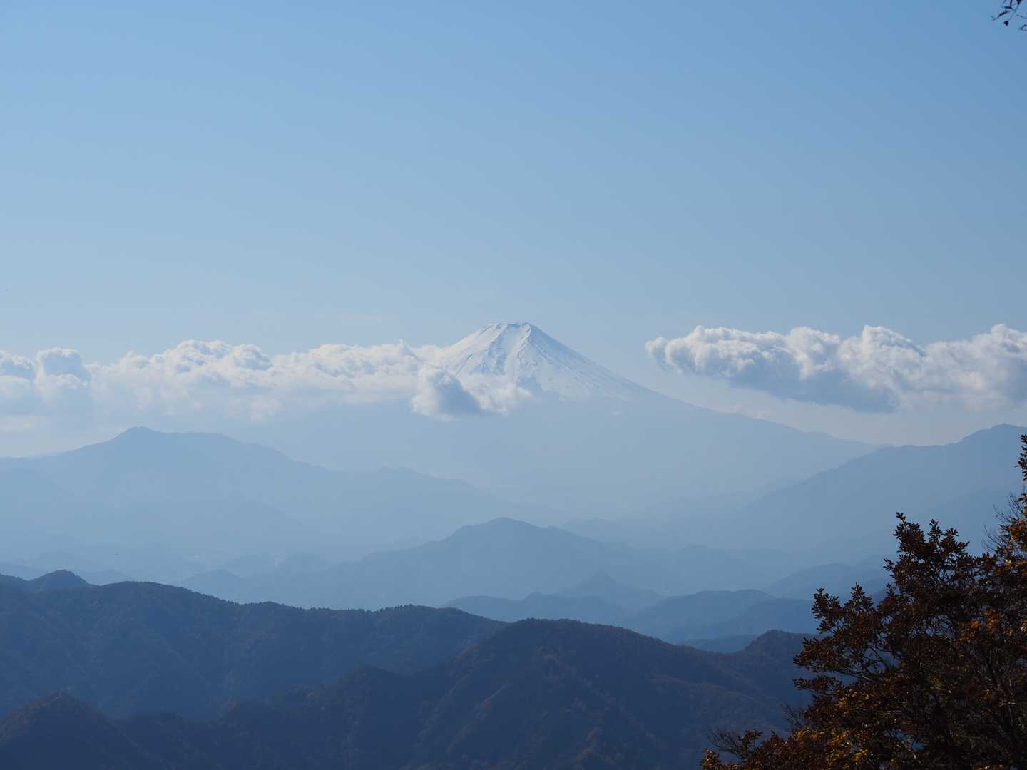 大沢山より
