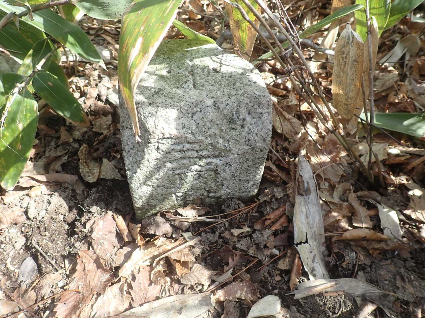 下瀧山　815.8ｍ
三等三角点
点名　下滝