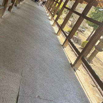 名物の廊下を歩く🚶‍♀️
