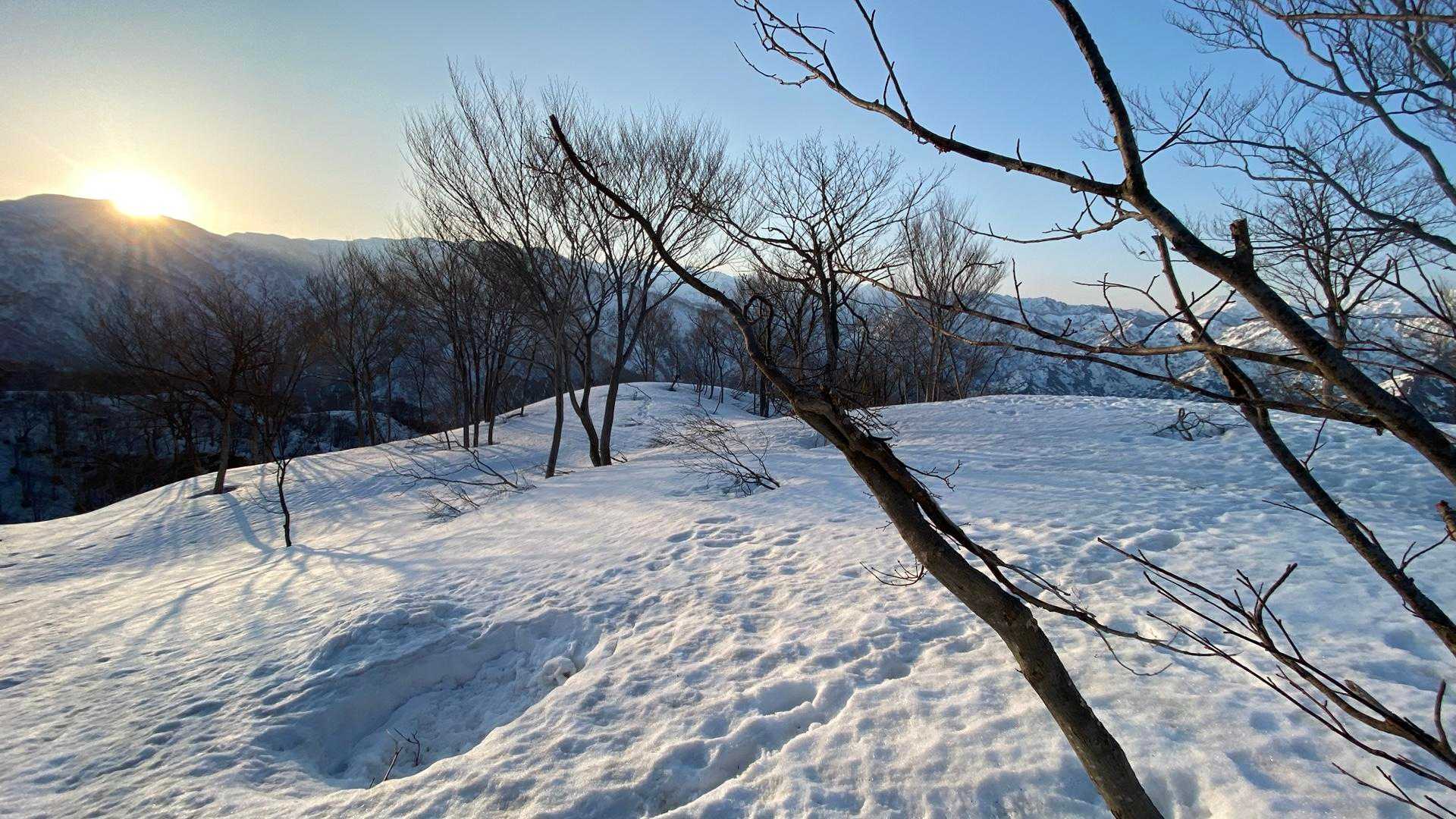 鍋倉山-大地山 往復コースの写真