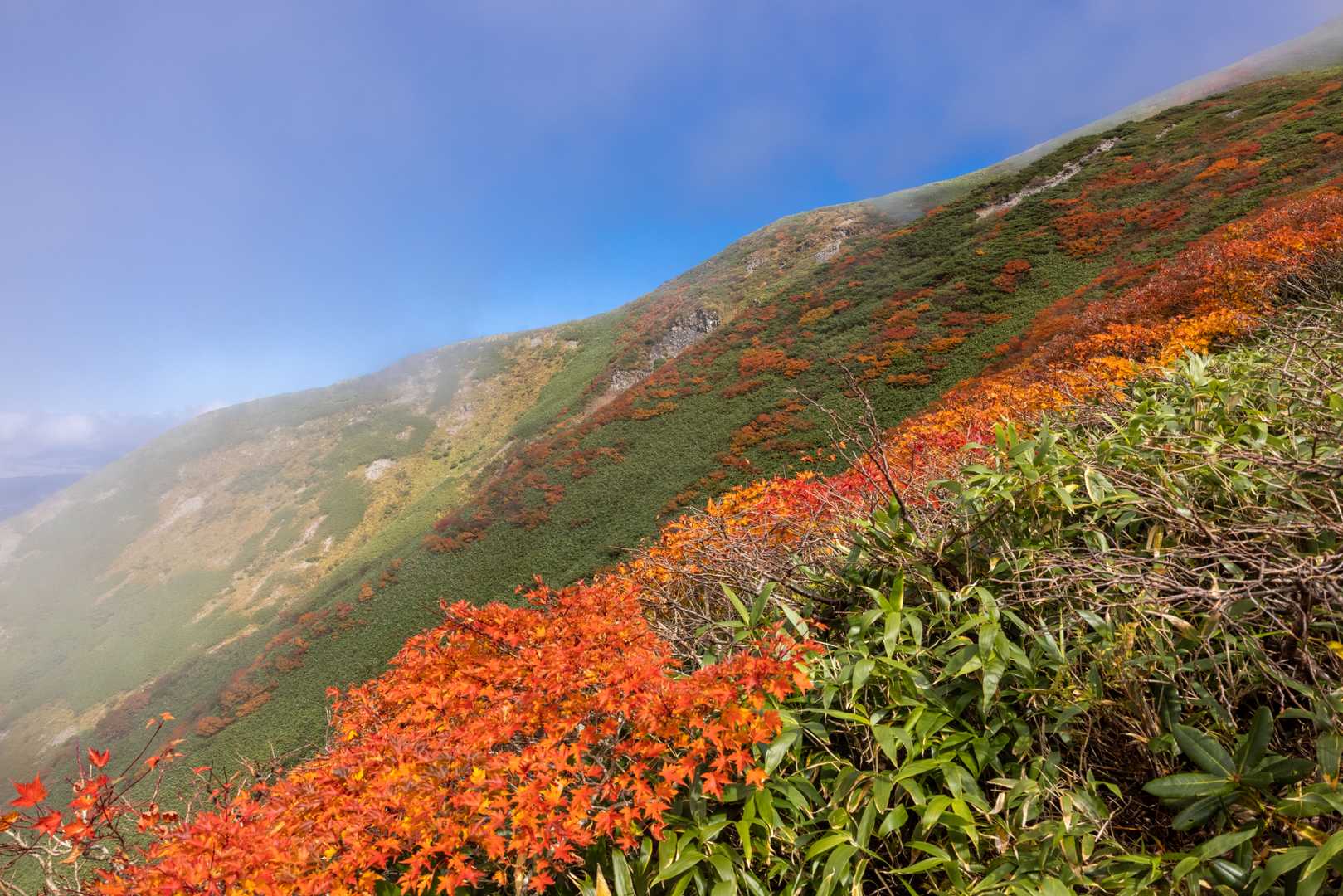 姥沢-牛首-月山 往復コースの写真