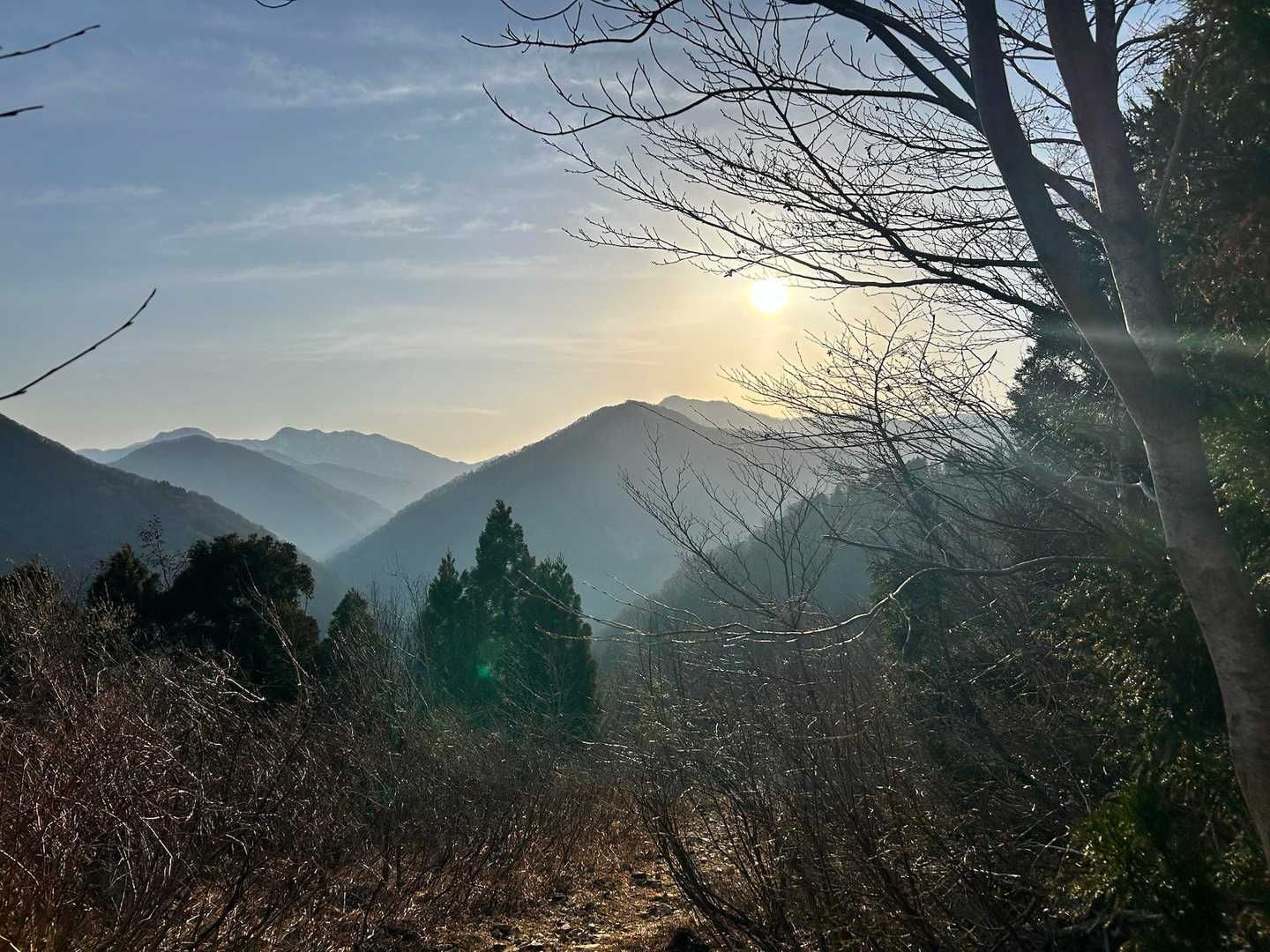 勝原コース | 旧スキー場を抜け、巨ブナの森、鎖場を越えて立つ「大野富士」の写真
