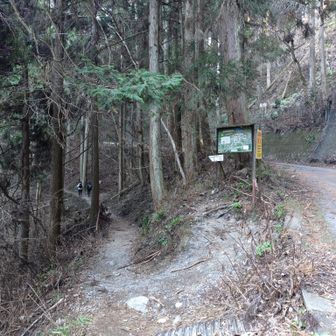 林道を歩いてここから登山道へ。
