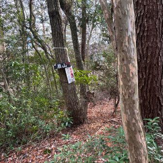 扇山に到着。😮‍💨