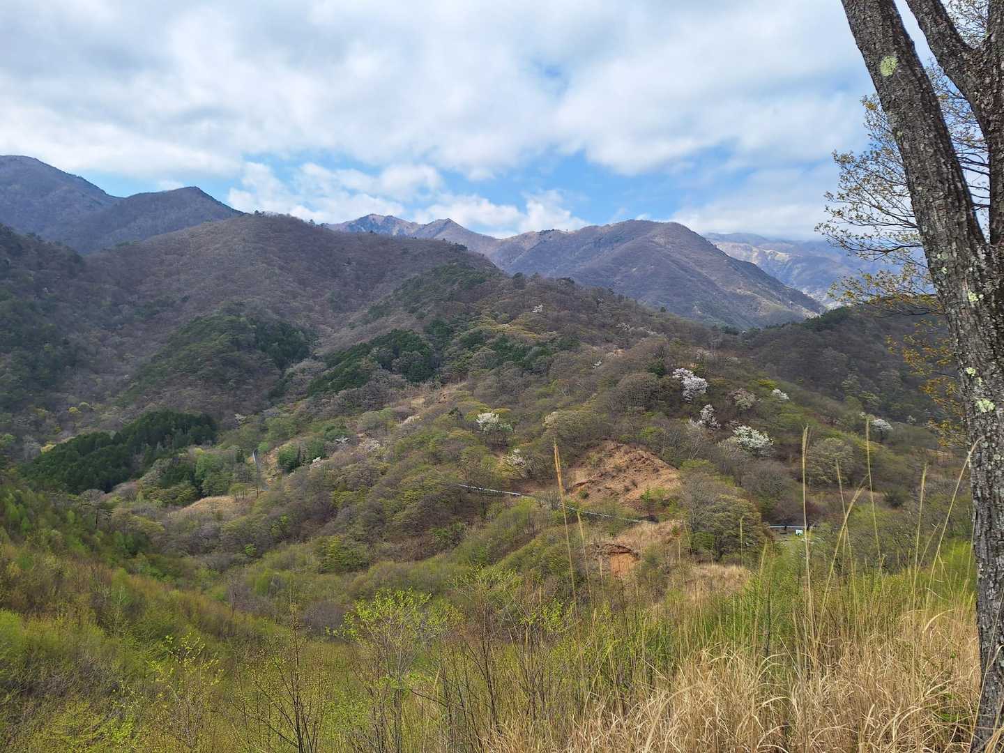 備前楯山入口　-備前楯山 往復コースの写真