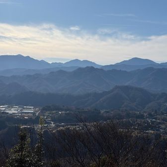 丹沢の山々も見えます。