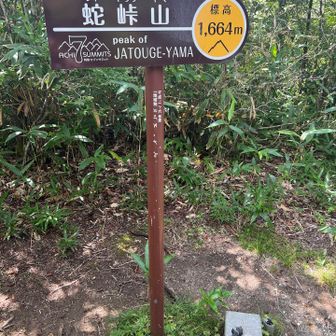 蛇峠山登頂！