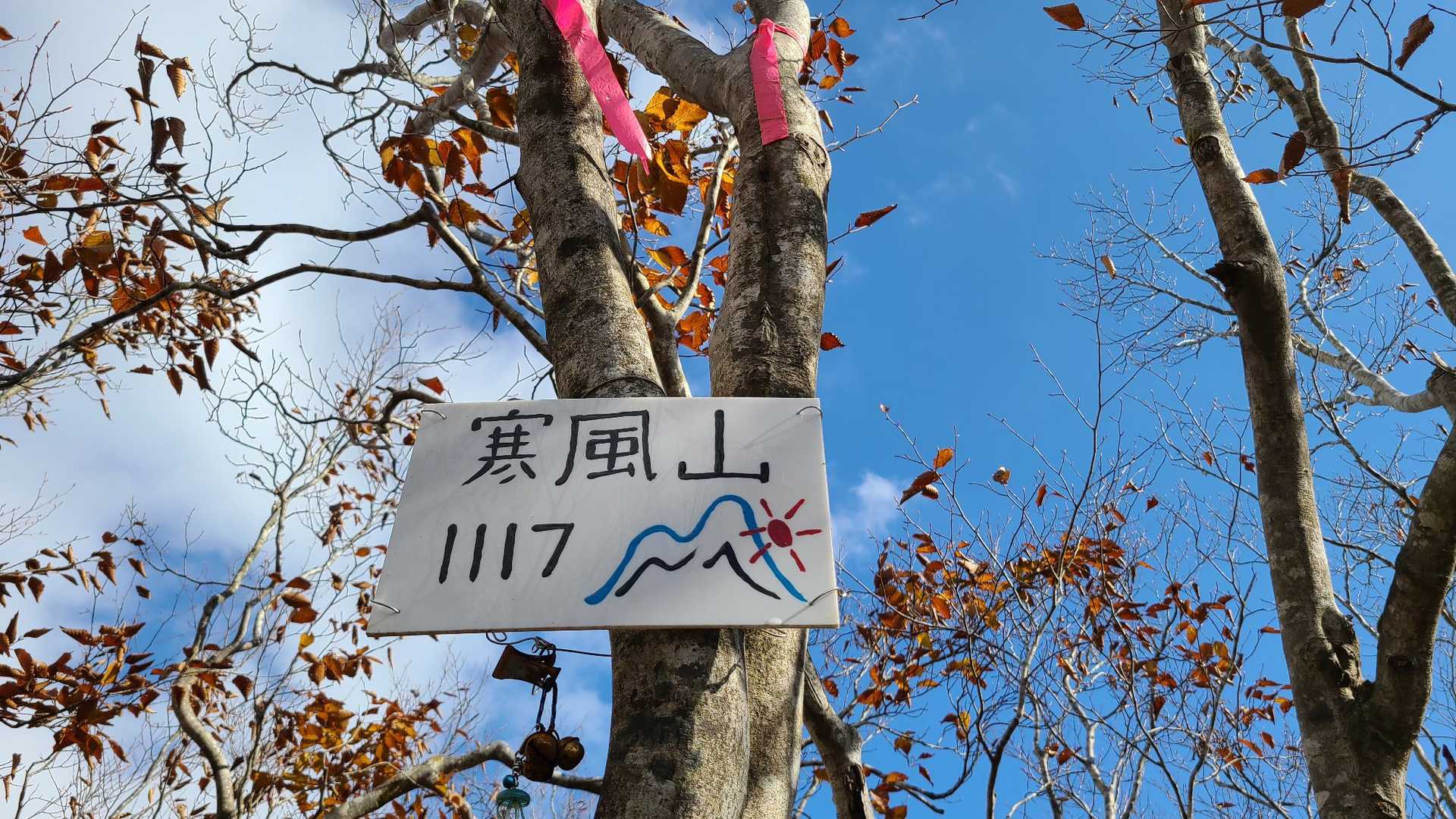 これは高い木にしっかり😊