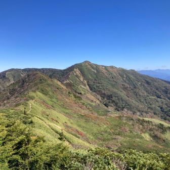 あら素敵😀
これが白砂山ですよ