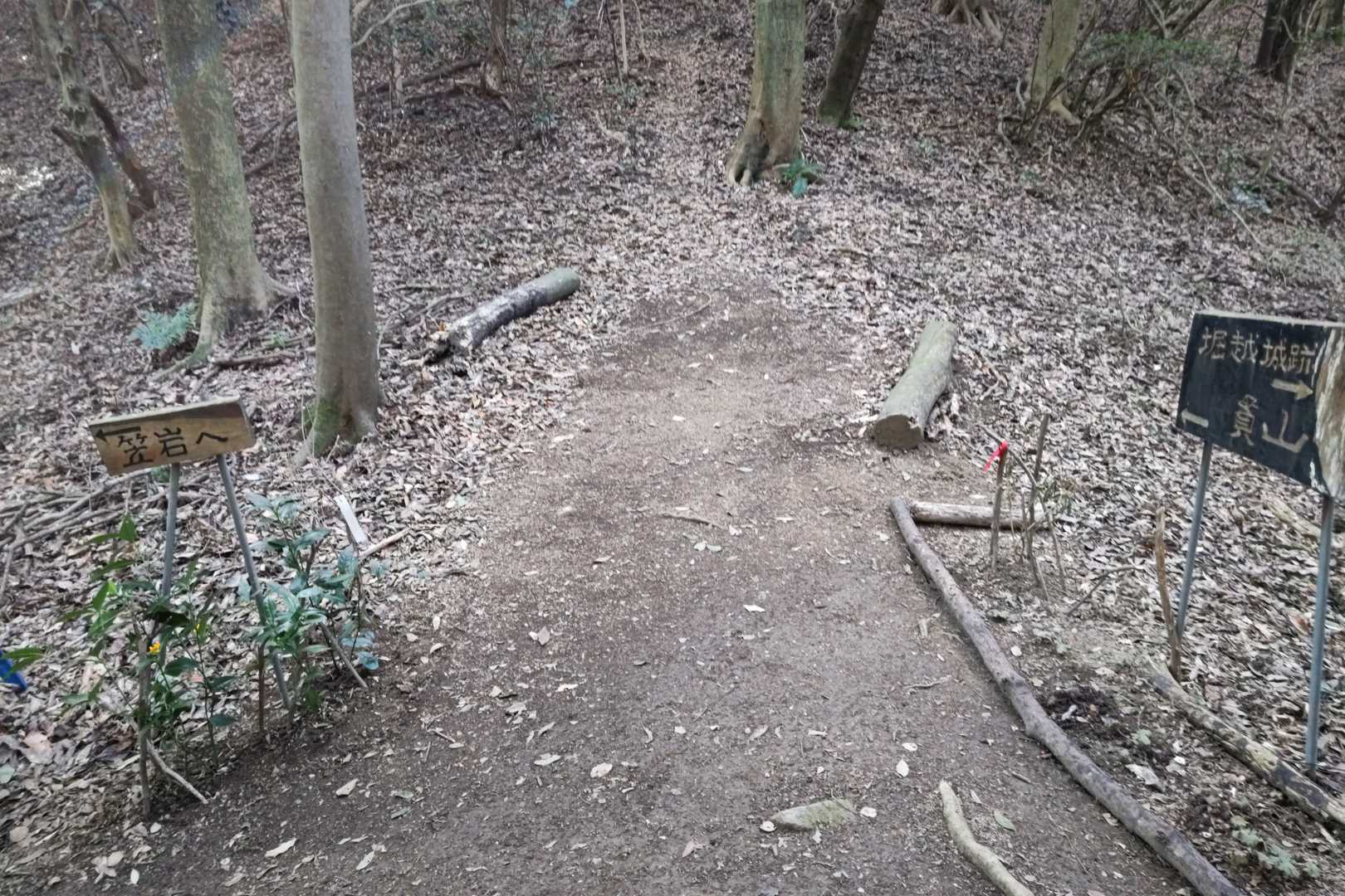直進すると貫山
左の笠岩へ
