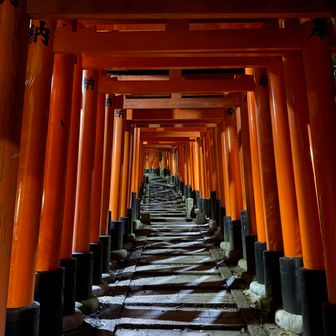 一生分の鳥居⛩️を潜った気がする😅