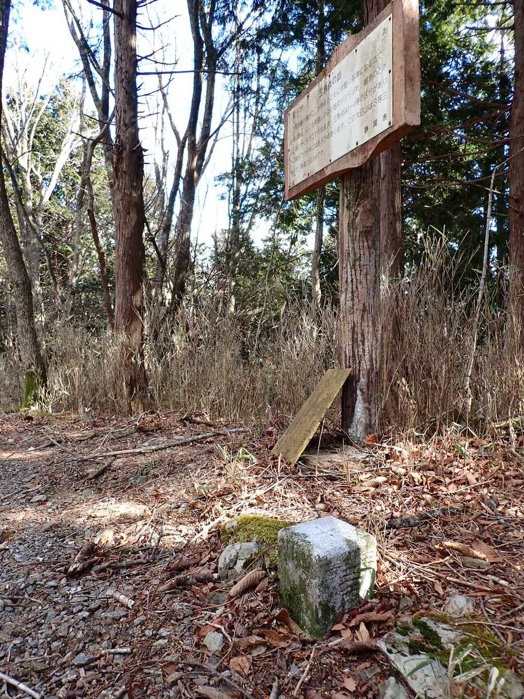 大日山の三角点💡
標識は無くなってしまったらしい💦