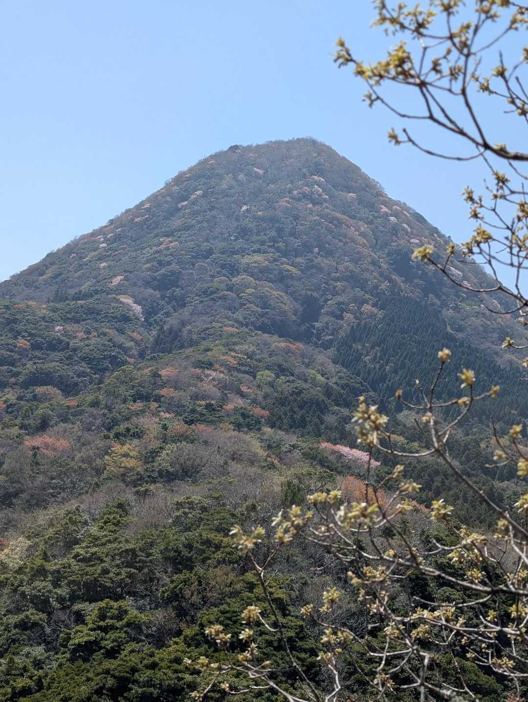 目の前にそびえ立つ鬼落山⛰️