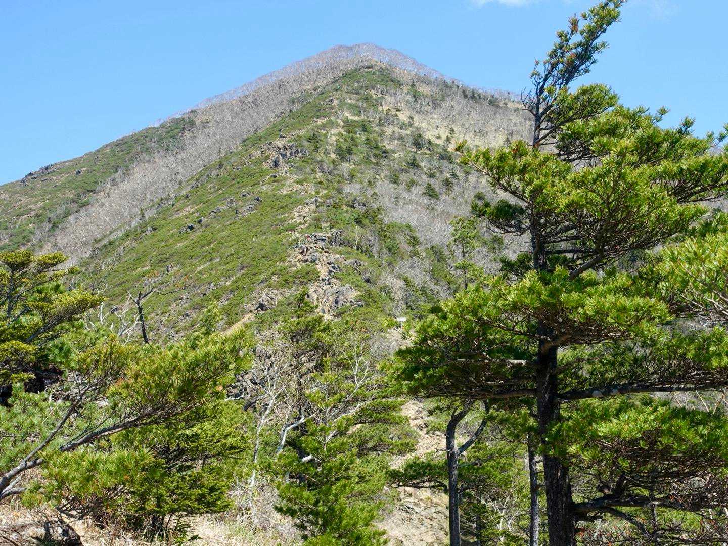 山頂もう少し💪