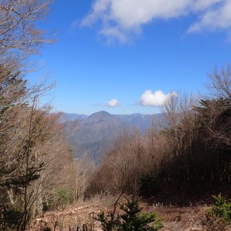 後ろの白いのはテカリね