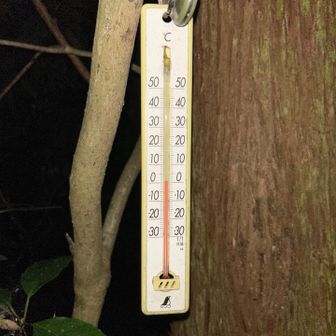 　　新入登山口の気温は1℃   寒い🥶