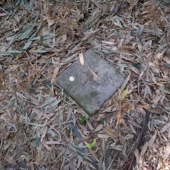 でも… ココにも三角点🥰
三等三角点『南沼上村』△124.7