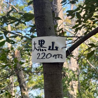 反対側にも看板発見💡