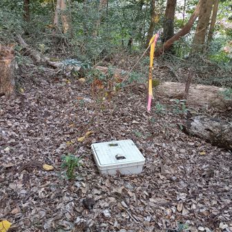 この桝はなんですかね？
蓋開けてみたけど何もなし。