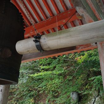 鐘を鳴らしました。🙌