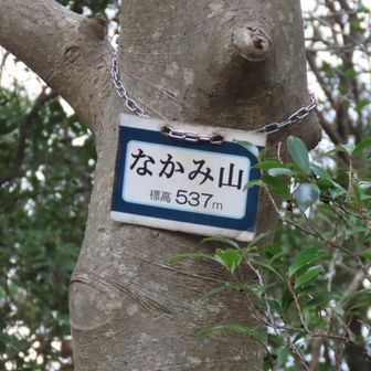 なかみ山