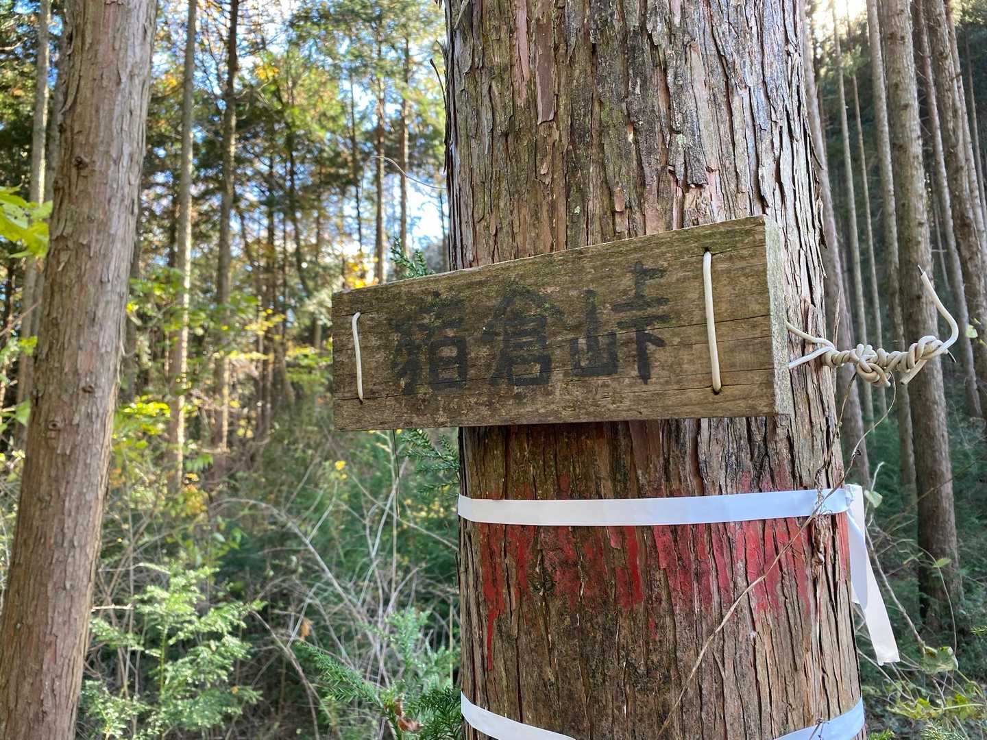 長倉山-鞍掛山-シゲト山-斑根石山-古賀志山 周回コースの写真