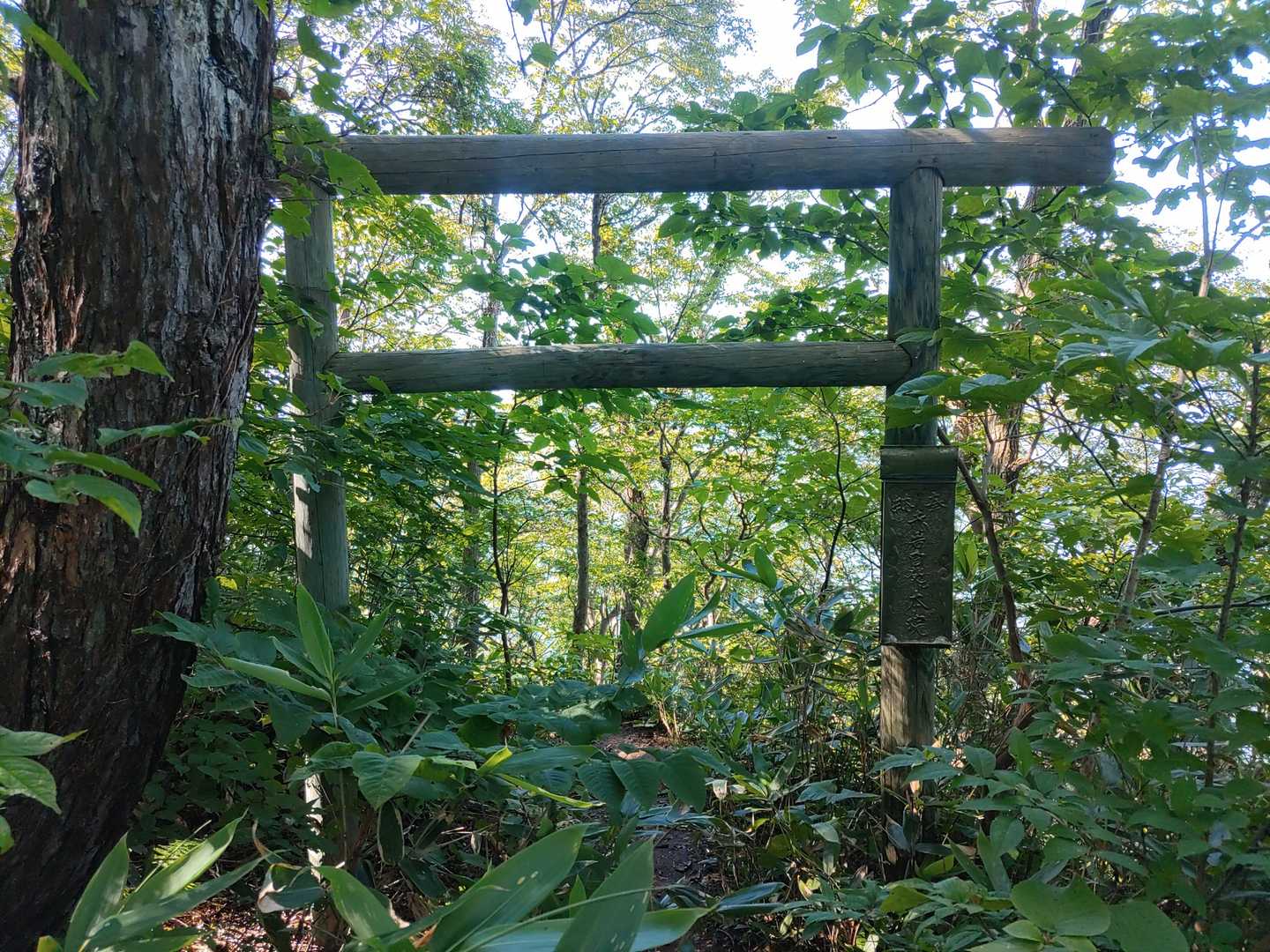 下赤岩山 往復コースの写真