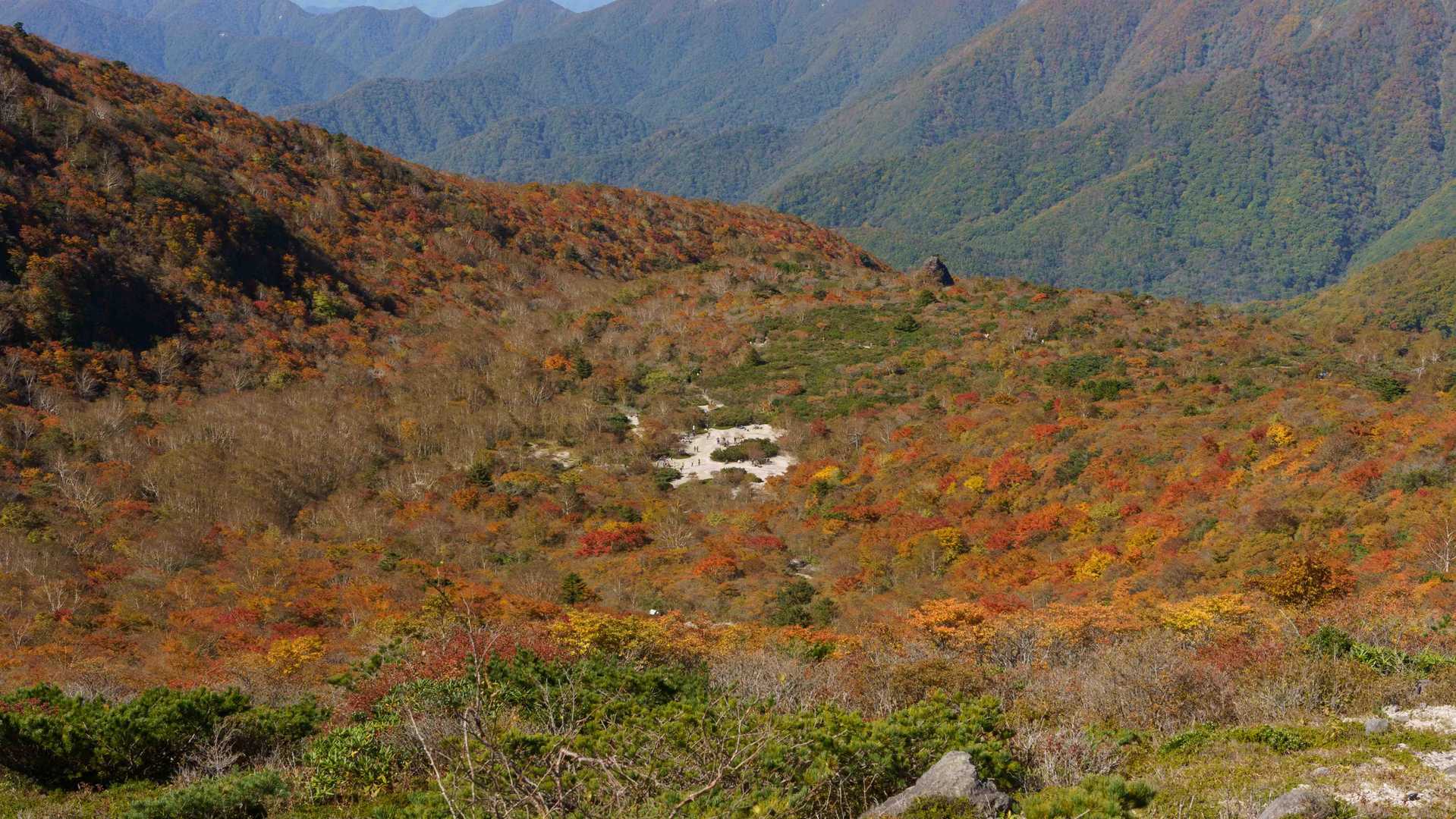 ロープウェイ山頂駅発着｜姥ヶ平散策コースの写真