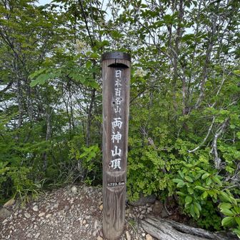 山頂の標柱