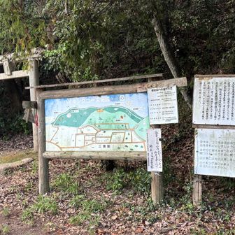 てな訳で、下りてきました🫡